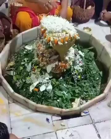 बाबा विदेश्वर नाथ महादेव के श्रिंगार पूजन का दृश्य।
topfans Voice of Tardih Darbhanga Sankalp Darbhanga महिलाशक्ति With MALA Jha Mithilak Beti - BFM USA विदेश्वर झंझारपुर बिहार ब्राह्मण समाज
बिदेश्