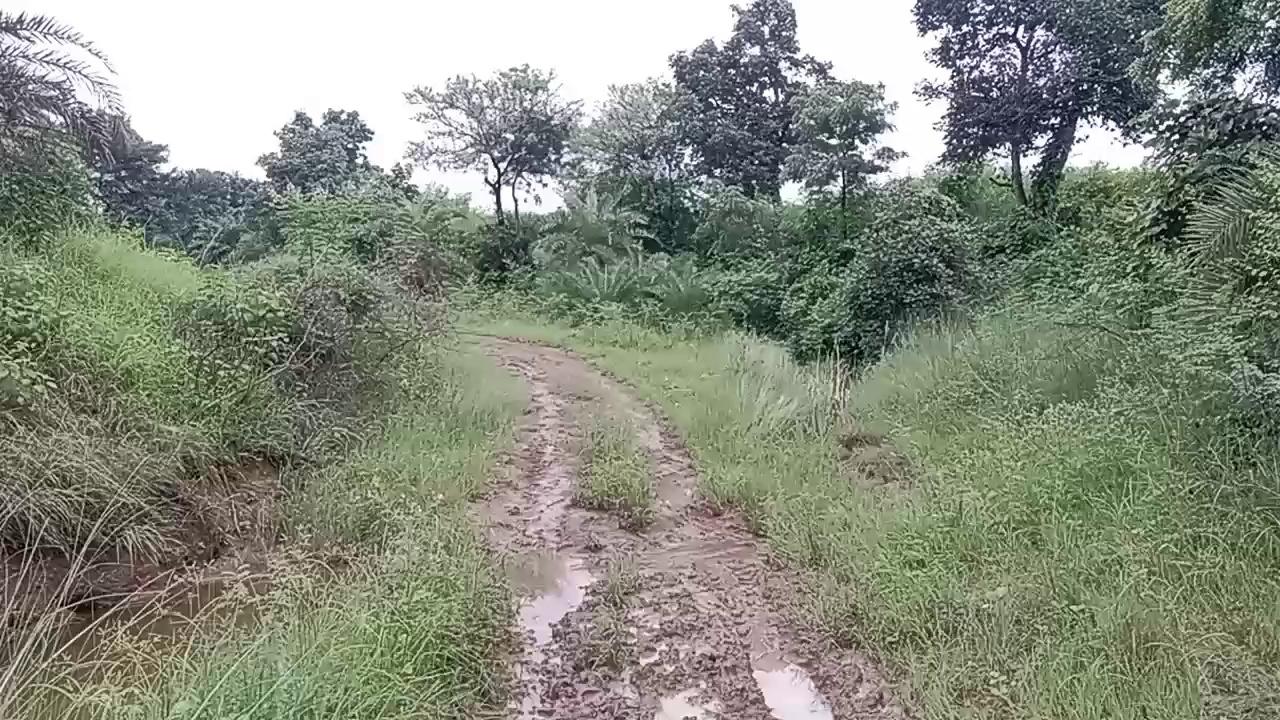 ग्राम पंचायत सागर सोनकर जिला देवास मध्य प्रदेश सोनकच्छ विधानसभा क्षेत्र 170 के अंतर्गत आने वाले ग्राम पंचायत शामिल का खेतों तक जाने के लिए बहुत परेशानी होती है एवं हमें अपनी फसल लाने ले जाने के लिए बहुत ही मशक्कत करना पड़ती है इसलिए ग्राम पंचायत शहर के समस्त कृषक गान एवं नागरिकों की तरफ से अपील करता हूं कि माननीय सरपंच साहब तहसीलदार साहब एसडीएम साहब एवं पंचायत से संबंधित सभी अधिकारियों का में हृदय से अनुरोध करता हूं कि वह थोड़ा सा यहां 15 अगस्त पर कुछ भी करके हमारी समस्या का निराकरण करें जय भारत जय हिंद