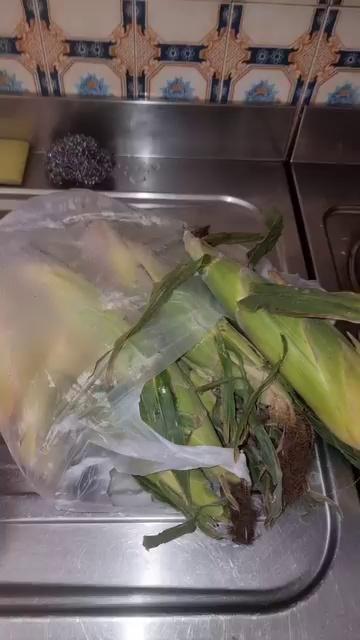 This type of corn
Nawa