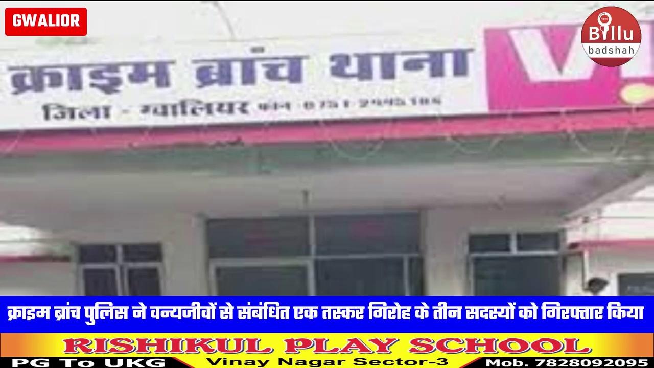 ग्वालियर की क्राइम ब्रांच पुलिस ने वन्यजीवों से संबंधित एक तस्कर गिरोह के तीन सदस्यों को गिरफ्तार किया है। यह तीनों ही इलाहाबाद और आगरा के रहने वाले बताए गए हैं। आरोपियों के कब्जे से दो वेश कीमती हाथी के दांत बरामद किए गए हैं। जिनकी कीमत लाखों में बताई गई है। लेकिन हैरानी की बात यह है कि इतने बड़े रैकेट के सदस्यों के कब्जे से नगदी के रूप में कुल 1250 रुपए बरामद हुए हैं।जो लोगों के गले नहीं उतर रहा है। पुलिस के मुताबिक पिछले एक महीने से दाल बाजार के अरगढे़ की गली में रहने वाले हुकुमचंद गुप्ता से इन तस्करों की डीलिंग चल रही थी। वन्य तस्करों ने बताया था कि उनके पास वेशकीमती हाथी के दांत है। जिन्हें वो बेचना चाहते हैं। हुकुम चंद्र गुप्ता इसके लिए तैयार हो गया ।उसने 25 लाख रुपए में यह डील फाइनल कर ली। मंगलवार को प्रयागराज के रहने वाले कृष्ण कुमार गुप्ता महेंद्र सेठ और उनके साथी हिमांशु कुकरेजा आगरा ट्रेन से ग्वालियर आए।
GwaliorBreaking