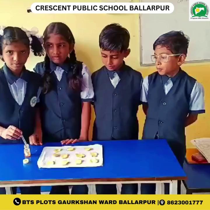 "Exciting discoveries in the lab! Our 5th-grade students at Crescent Public School Ballarpur conducted a fascinating science experiment to test for carbohydrates (starch). Their curiosity and enthusiasm are truly inspiring!