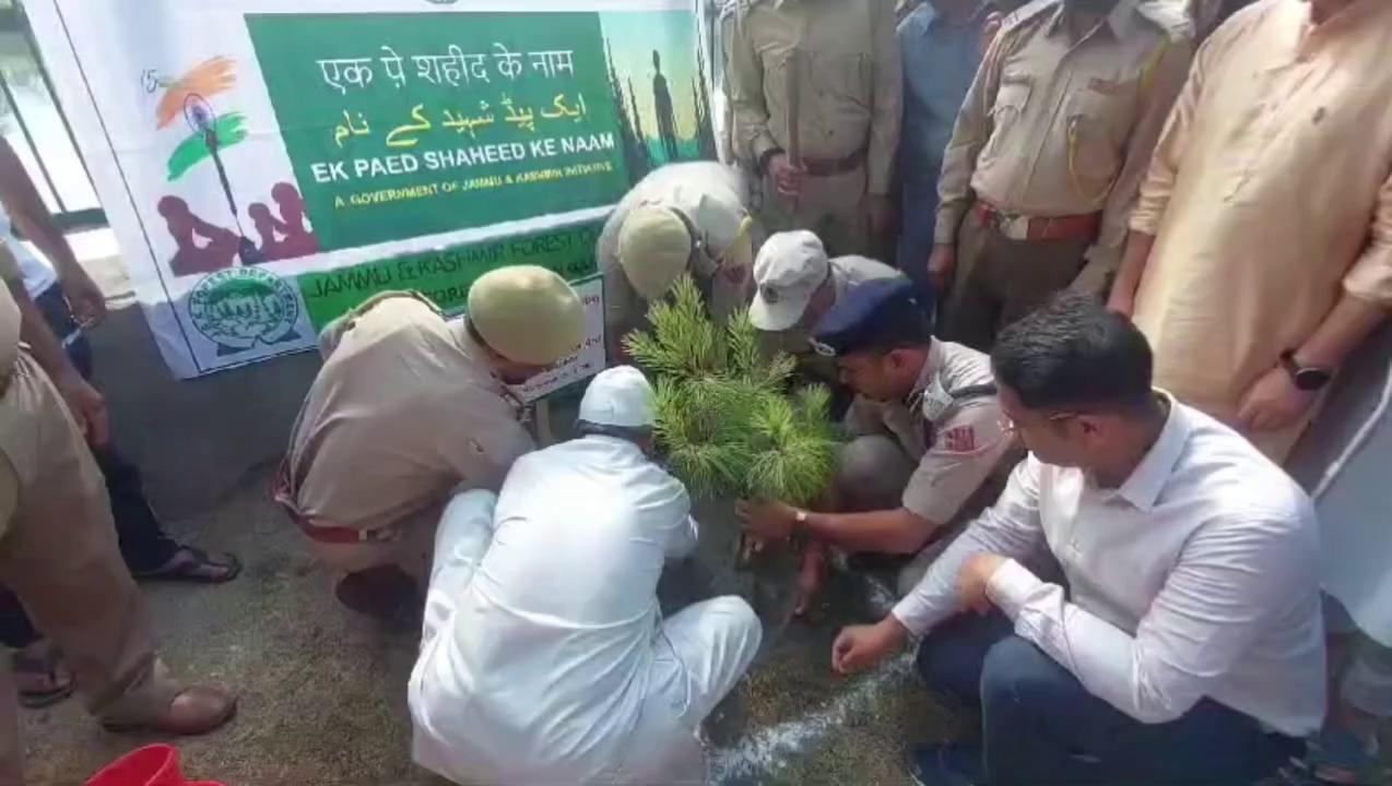Jammu Kashmir Forest Division Sind in collaboration Carried Out plantation Drive In Bamloora Ganderbal.