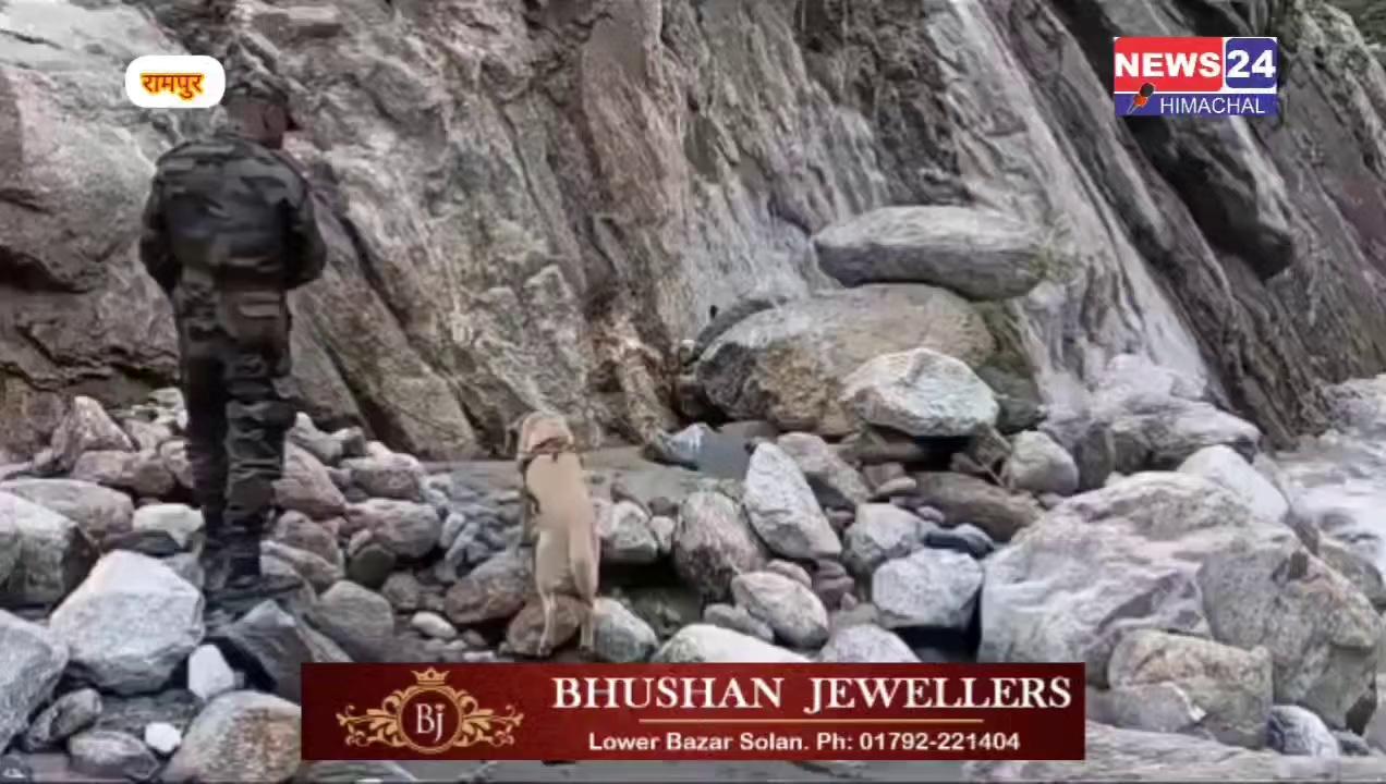 रामपुर के समेज पत्थरों के बीच खोजी कुत्ते द्वारा जिंदगी की तलाश, बाढ़ के बाद राहत कार्य युद्धस्तर पर जारी