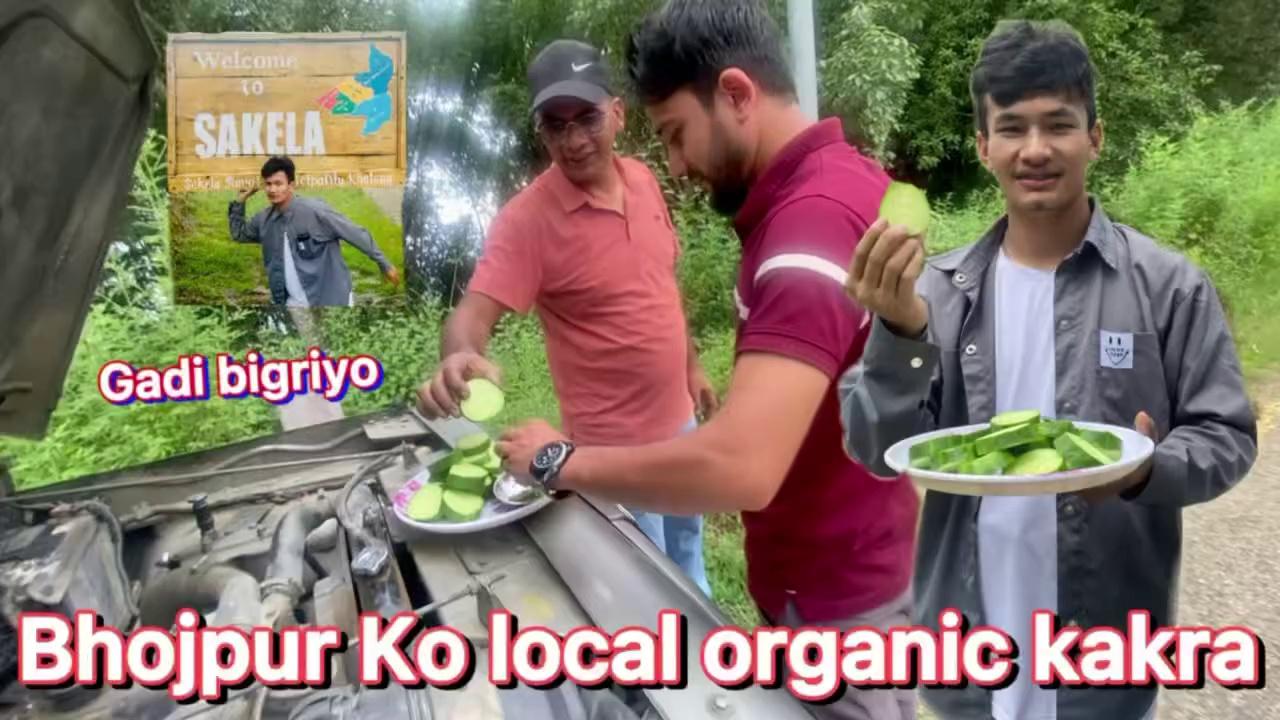 Organic bojpurko local Kakra khanu paiyo aja bhojpur ma gadi bigirda