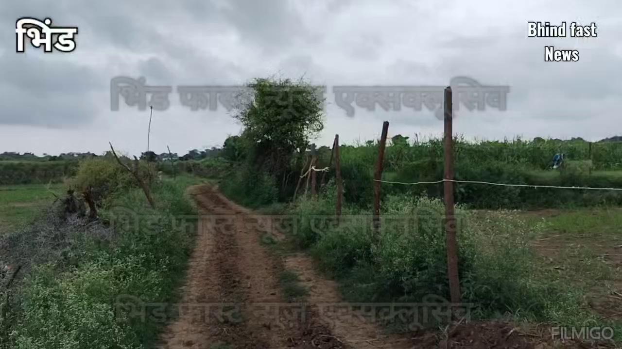 अटेर क्षेत्र के गांव में हुई मुनादी, चंबल नदी में बड़े जलस्तर की लाइव कवरेज
https://youtu.be/WM3_RgXuMCQ?si=Tg1F9iNYQ1rX0uaQ
भिंड की खबर को सबसे पहले विस्तार से देखने के लिए इस न्यूज़ चैनल को सब्सक्राइब करें