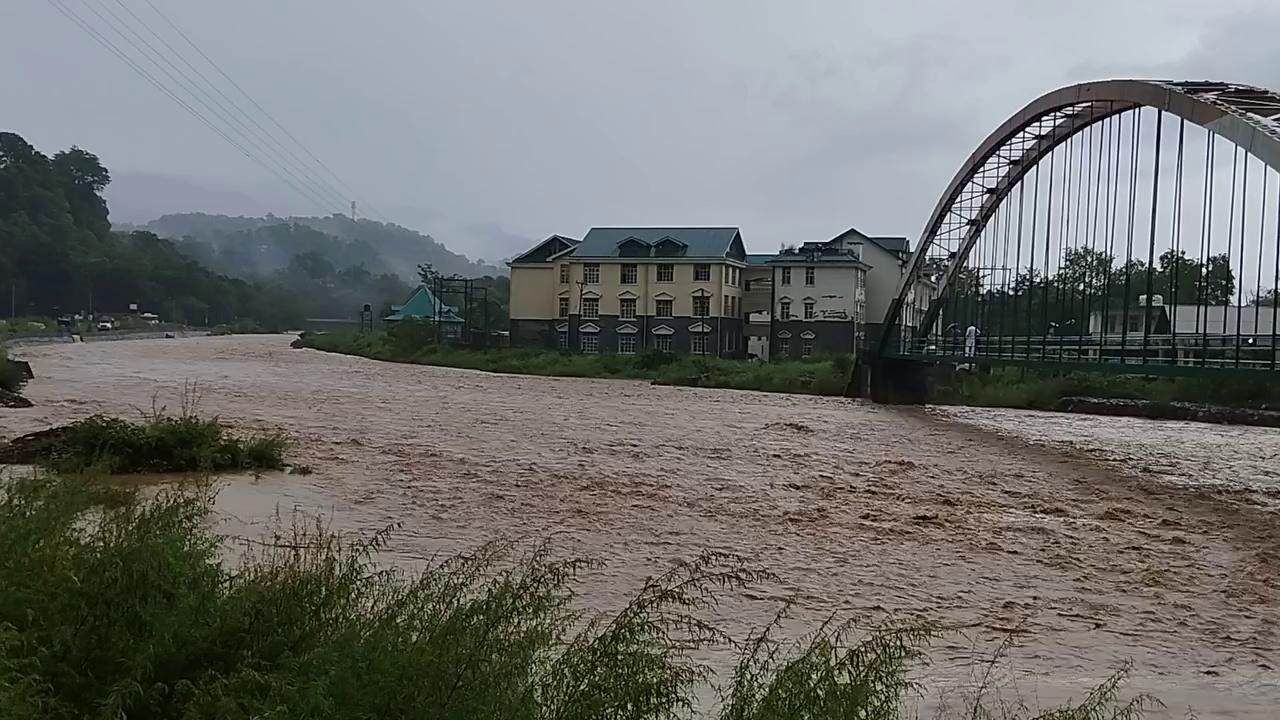 जयसिंहपुर की पपलोई खड्ड में पानी ऊफान पर।