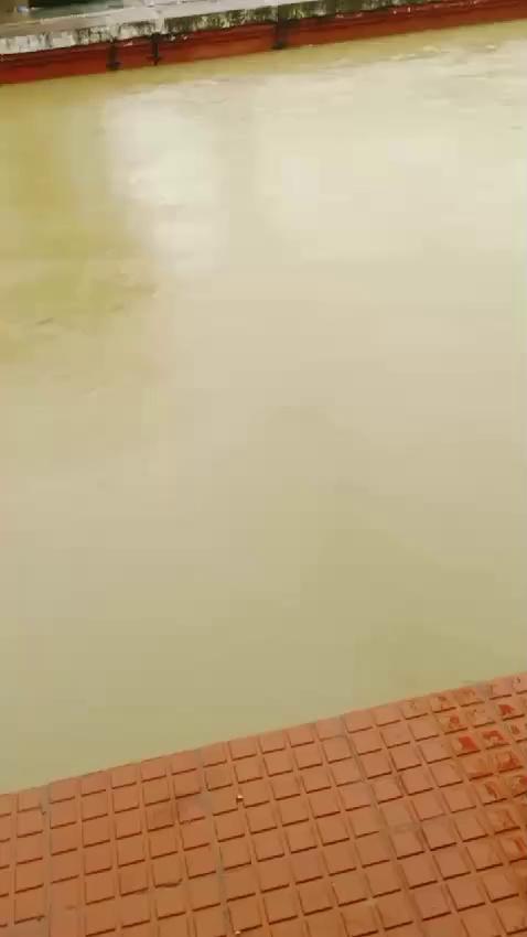 आज 2 अगस्त 2024 को भारी बारिश के कारण बासुकिनाथ रेलवे स्टेशन पानी में डूबा नजर आया। देवघर से बासुकिनाथ धाम जाने वाले यात्री मोहनपुर में फसे रह गए।