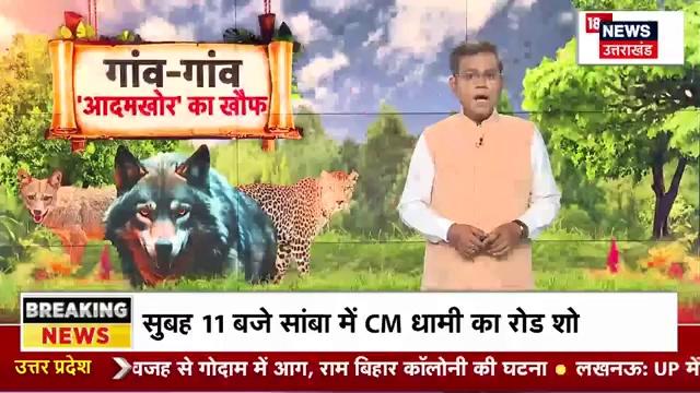 Bahraich Bhediya Attack News: लखीमपुर में भेड़िये का कहर, फिर किया आदमखोर ने शिकार ? Breaking | Top