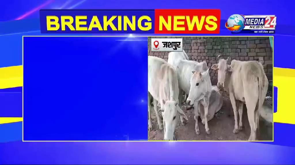 #chhattisgarh : गौ तस्करों पर Jashpur Police की बड़ी कार्रवाई, SP Shashimohan Singh की गौ तस्करों को बड़ी चेतावनी