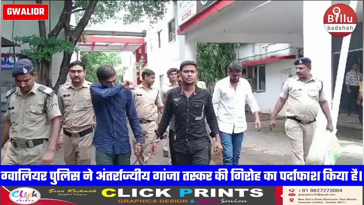 ग्वालियर पुलिस ने अंतर्राज्यीय गांजा तस्कर की गिरोह का पर्दाफाश किया है। गिरोह के गिरफ्तार पांच आरोपी ट्रक में काजू के छिलकों के बीच डेढ़ क्विंटल गांजा उड़ीसा से ग्वालियर की तरफ ला रहे थे। पुलिस ने ट्रक, कार और गांजा मिलाकर 45 लाख रुपए का माल जप्त किया है। यहां गिरोह के लोग ट्रक के आगे पीछे कार से चलकर ले जाते थे। गिरोह का नेटवर्क उड़ीसा, छत्तीसगढ़, मध्य प्रदेश और उत्तर प्रदेश तक फैला हुआ है। वही पुलिस आरोपियों से पूछताछ में जुड़ गई है।
GwaliorBreaking