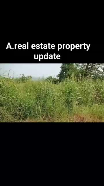 1000acre khalapur khopoli area agriculture land price. 2 cr per acre maharashtra pune highway sale lands,
Interest buyer contact Message real estate hr on WhatsApp. https://wa.me/919457305765