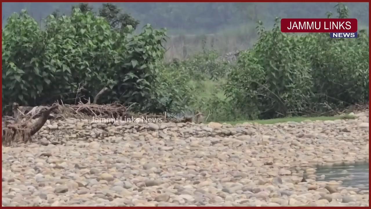 Grenades recovered from terrorists killed during the Kathua encounter a few weeks ago have been destroyed by the Kathua police