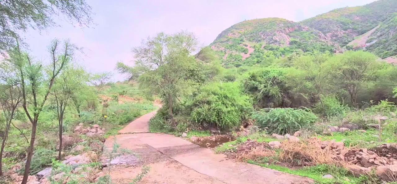 dhameda dham Narayanpur Kotputli Rajasthan New live Video
