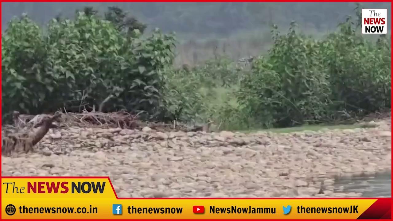 कठुआ: हीरानगर के सैदा सोहल में मुठभेड़ के बाद आतंकवादियों से बरामद हुए 8 हैंड ग्रेनेड को बम निरोधक दस्ते ने किया निष्क्रिय!