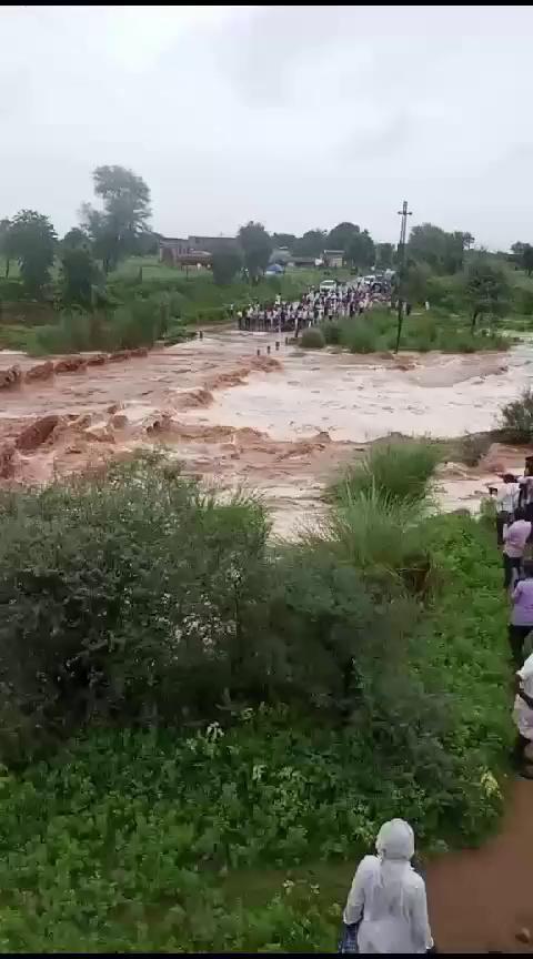 गंगापुर सिटी सवाई माधोपुर रोड पर बुचौड़ाई नाले पर पानी उफान पर है बंजारी फलबाडा वाले तालाब टूटने की वजह से पानी आया आगे शेयर करें लोग ऐसी स्थिति में पुल क्रॉस ना करें