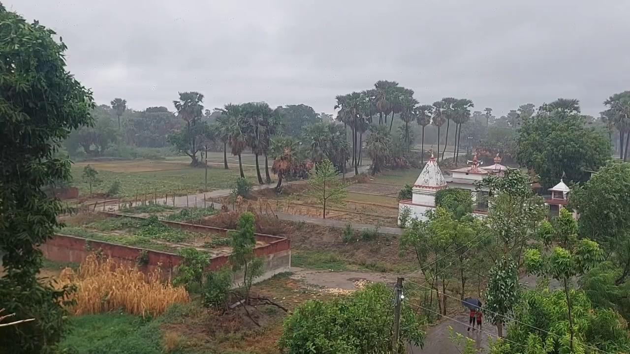 मानसून की पहली बारिश से मौसम हुआ सुहाना,झमाझम बारिश होने पर उमश भरी गर्मी से मिली राहत! Nalanda News