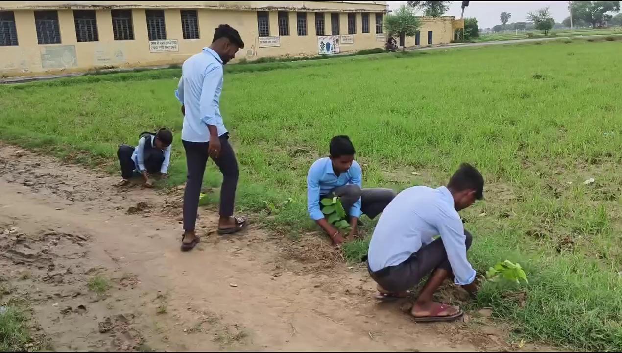 हरियालो राजस्थान ।। एक पेड़ मां के नाम।। वृक्षारोपण कार्यक्रम GSSS KOLUA DHOLPUR.