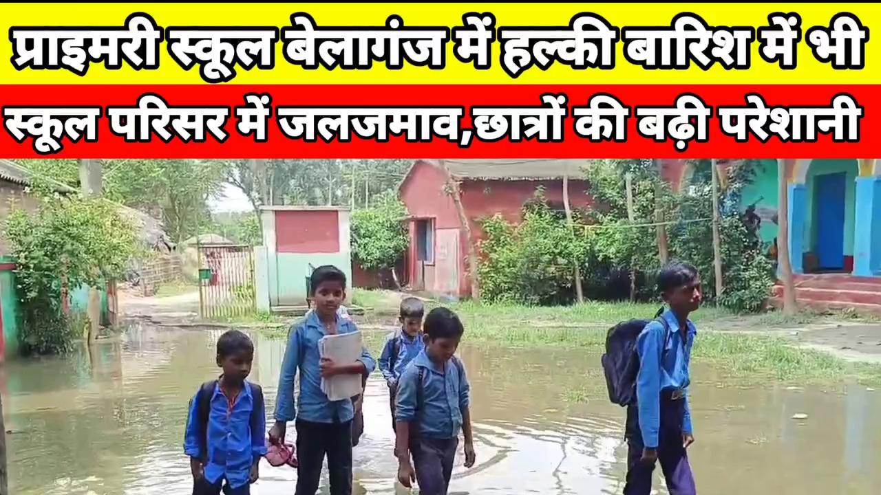 छातापुर:प्राइमरी स्कूल बेलागंज में हल्की बारिश में भी स्कूल परिसर में जलजमाव || छात्रों की बढ़ी परेशानी