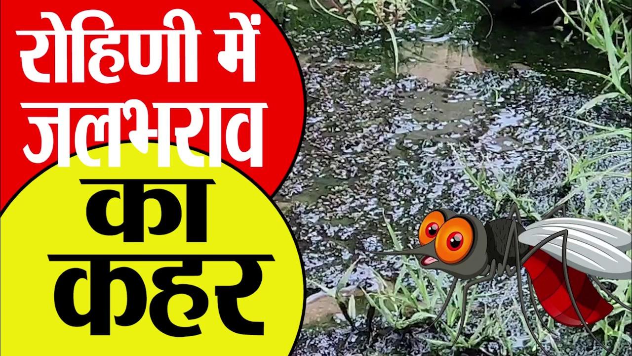 Delhi में जलभराव का कहर: Rohini Sector 4 की सोसायटी में हालात खस्ता || Navdeep News ||