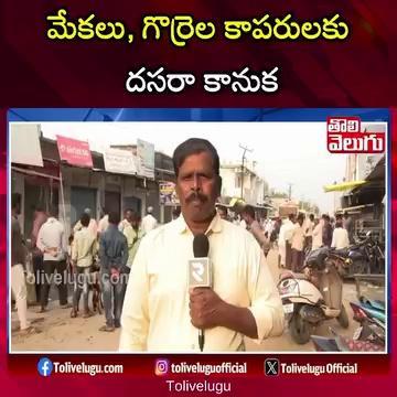 నవీపేట మేకల సంత.. | Biggest Goat & Sheep Market At Navipet | Tolivelugu