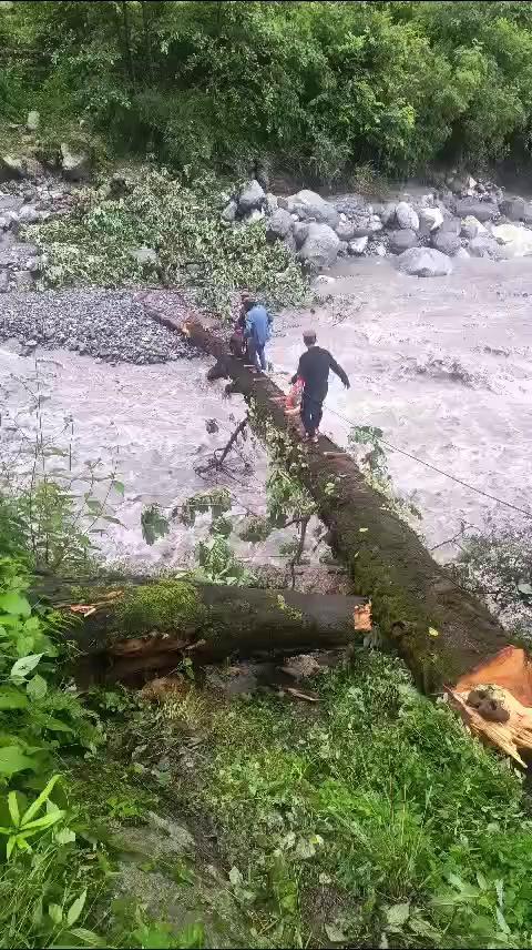 हिमाचल : रामपुर के 15/20 के लास्ट गांव नंती टिकर में चारों पुल तबाह,घर में राशन न होने की वजह से लोग जान जोखिम में डालकर टूटे हुए पेड़ की सहायता राशन के लिए जा रहे हैं दूसरे गांव
रिपोर्ट - मोनिका ठाकुर (संवाददाता)