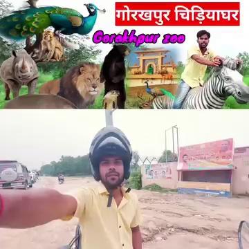 Gorakhpur chidiya Ghar | Gorakhpur Zoo | गोरखपुर चिड़ियाघर, Zoo Full video |