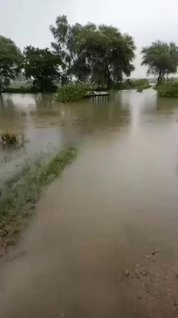 श्योपुर
ग्राम पंचायत ढोंडपुर के गांव लाथ में अतिक्रमण के चलते खेतो में जल भराव फसलों पर बना संकट ग्रामीण लगा रहे कलेक्ट्रेट के चक्कर सुनवाई नहीं