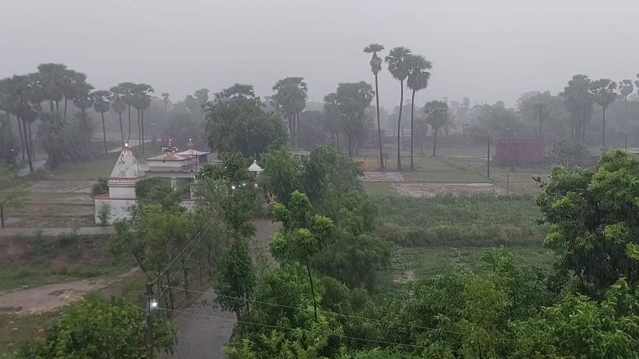 नालंदा में सुबह-सुबह झमाझम बारिश मौसम हुआ सुहाना! Nalanda News