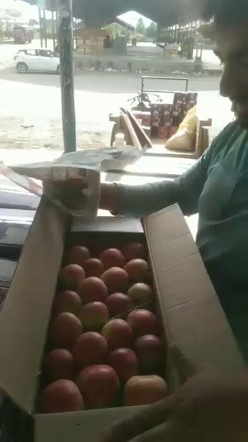 Today New Volg No 1 Apple Mandi Sopore Kashmir India