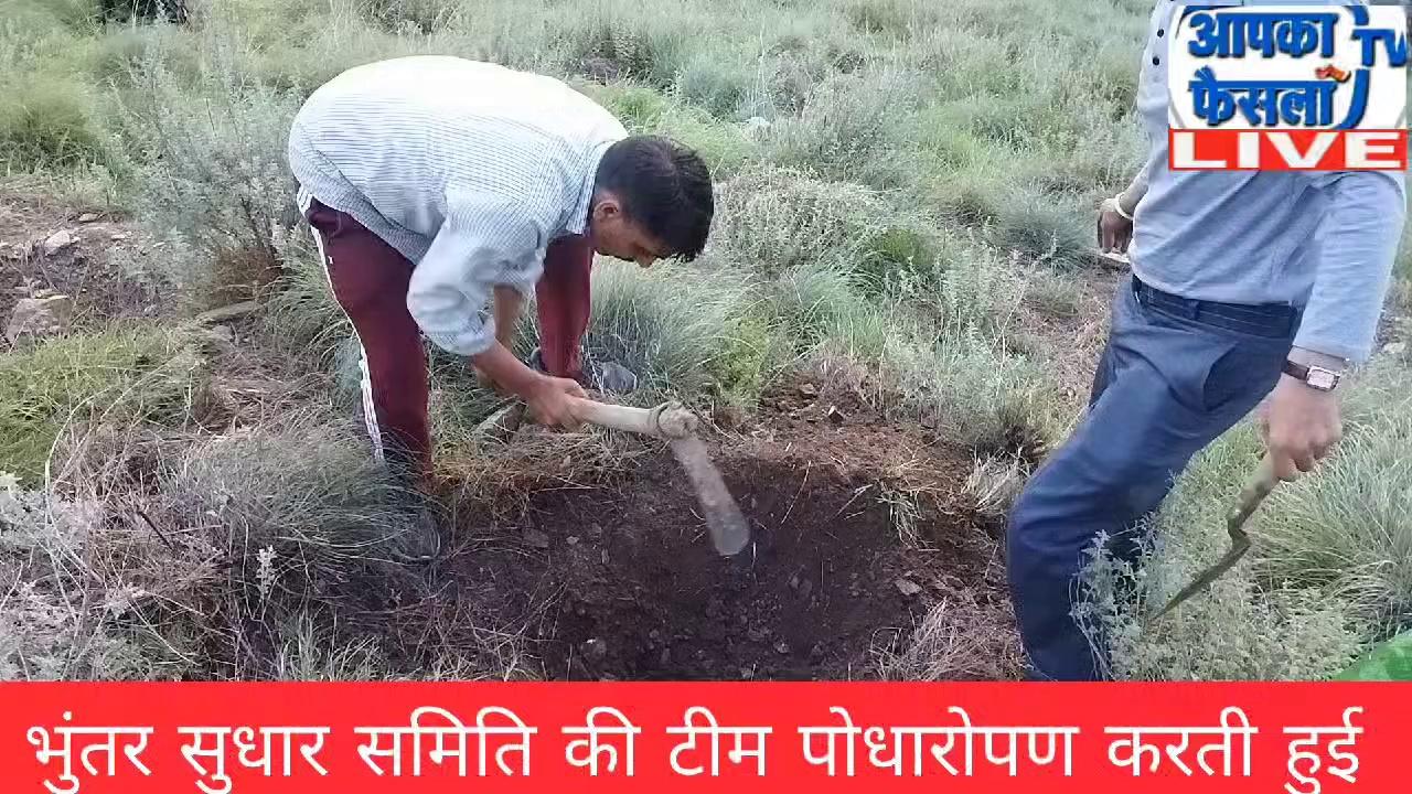 भुंतर सुधार समिति ने जगाई पर्यावरण की अलग ,,,,,लगातार हो रहा पौधारोपण,,, समिति की टीम कर रही है पौधों की देखभाल भी,,, दिल से समाज सेवा में जुटी भुंतर सुधार समिति,,,,