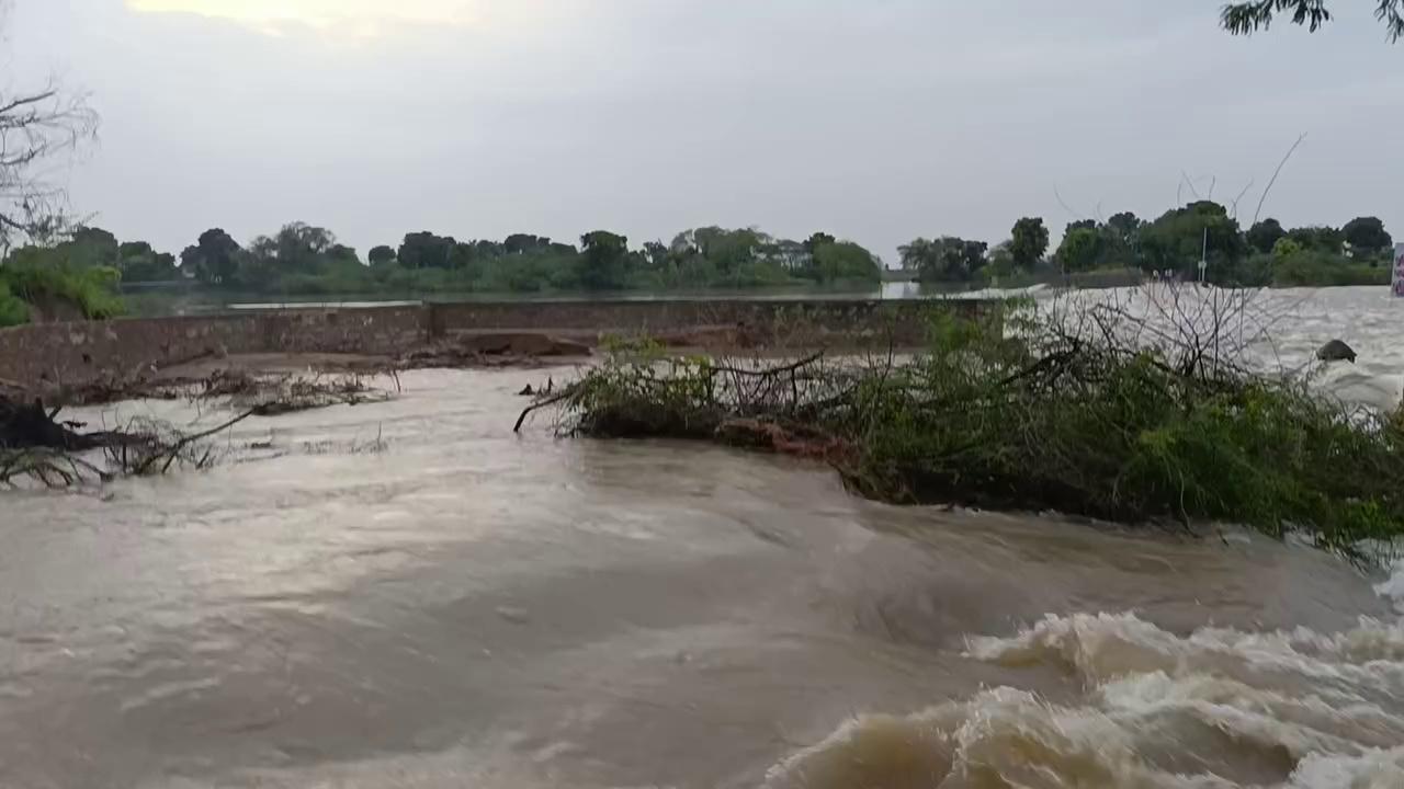 सहोदरा नदी पर स्थित कुरेडा एनीकट उफ़ान पर आने के बाद दोनों तरफ से टूट गया । followers highlight RamSahay Verma Bhajanlal Sharma Sukhbir Singh Jaunapuria MADAN DILAWAR Ajit Singh Mehta रामसहाय वर्मा निवाई पीपलू Madan Dilawar Dr. Prabhu Badoliya