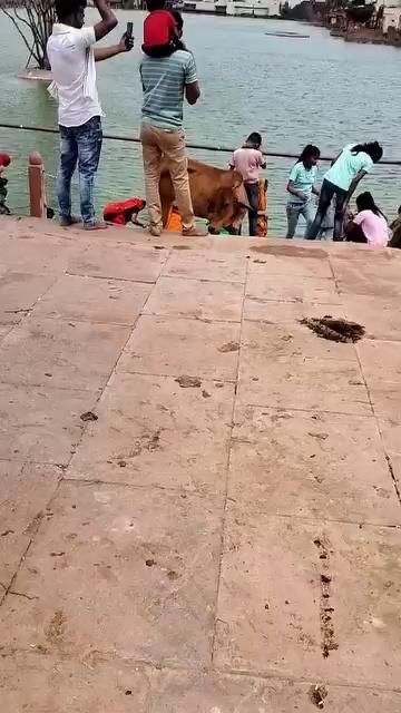 Dholpur mach kund shree jagannath bhagvan ka