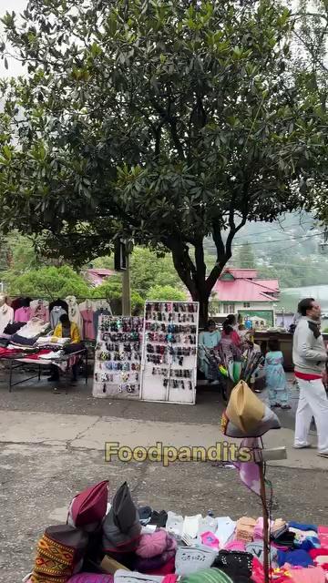 Momo Queen Of Nainital Uttarakhand.