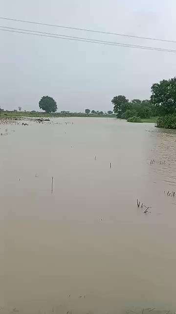 टोंक पीपलू बारिश का दौर लगातार जारी चौगाई से लावा जाने का रास्ता अवरूद्ध।।