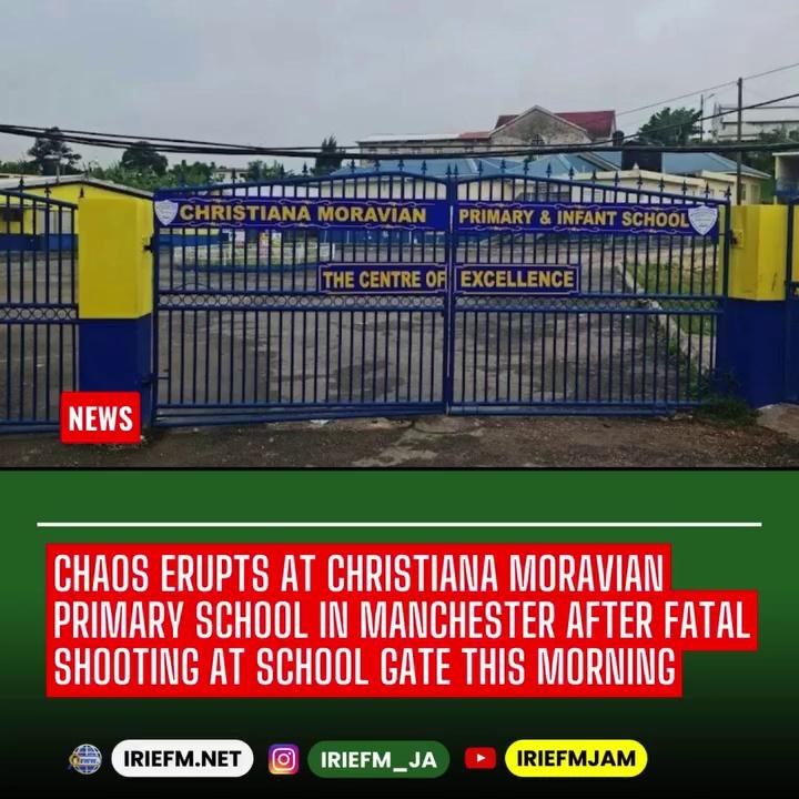 There were scenes of chaos at the Christiana Moravian Primary School in Manchester this morning, after a man was shot dead at the gate of the institution.