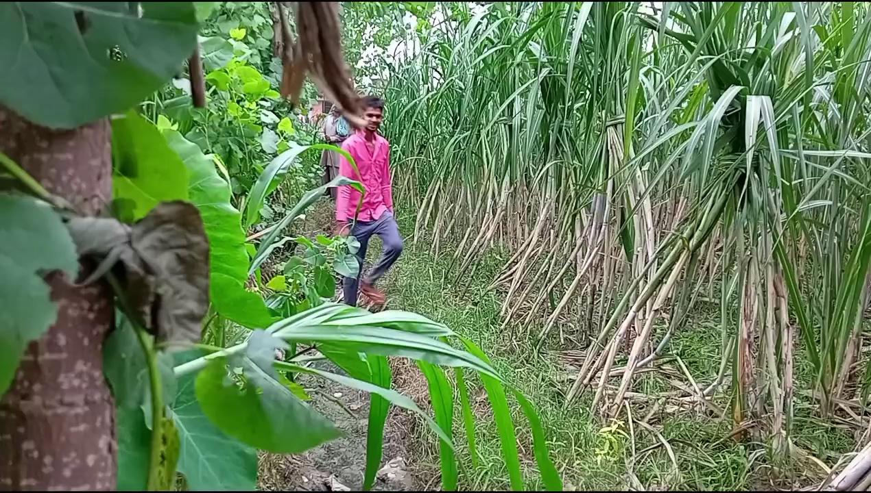 || भारत के गांव
की जिंदगी || India Village
farmer video
|| India Village ||
#indiavillage
Indian real village, Daily routine village life In India, real life in indian village,
village life, indian village life, indian village, rural life india, village life in india, real life india, village, village life india, india village life, rural life, farmer life, india life, india, village life of india, village life uttar pradesh, life, rural life in india, rural life of india, village life daily routine in, india farmer life, village life of india up, uttar pradesh village, village life vlog, rural life india village, village lifestyle, rural life india, real life india, india, rural life, indian village life, rural life of india, village life in india, rural life up, india farmer life, village life, rural life in india, rural life, indian farmers, indian farmer vlogs, india farmer, indian farming, indian farms, real , farmer life, life india, rural life india up, village life, india village life, rural india, indian village, india vlog video, india rural life, rural india life, life, indian, india farmer, nature rural life, indian life, real life india, , life, village life of india, farmer life, indian village, indian rural life, life india, life of poor people in india, up india, india life, life of india, life in india, poor people of desi life ,
indian village life,
indian village food,
indian village girl,
indian village game,
indian village in africa,
indian village cooking channel,
Uttar Pradesh Village,
uttar pradesh village life,
uttar pradesh village life vlog,
uttar pradesh village lifestyle,
uttar pradesh village food,
uttar pradesh village wedding video,
uttar pradesh village house,
uttar pradesh village tour,
uttar pradesh village home design,
up Village,
up village life,
up village life vlog,
up village food,
up village wedding video,
up village marriage,
up village lifestyle,
up village vlog,
up village cooking,
up village song,
up village shadi video,
#dailyvlog
vlogginglifestyle
#JabaramVlogs
#RameshRajVlog
#ScienceWalaShankar
#SintuReenaVlogs
#Myvillageofficial
#Delhivlogsheetal
#villagevlog
#village
#villagelifestyle
#villagelifestylevlog
#dihatilife
#dihatilifestyle
ms family vlog
#gareebmsvlogs
#jitendraSaini94
Jabaram Vlogs,
Ramesh Raj Vlog,
Science Wala Shankar,
Sintu Reena Vlogs,
Myvillage official,
Delhi vlog sheetal,
Daily vlogs,
dailylifevlogs,
India vlogs,
Daily vlogs video,
Vlogs video,
gareeb m s vlogs,
garib ms vlog,
gareeb m_s vlog,
ms garib,
vijay riya vlogs,
vijay riya,
vijay riya video,
vijay riya ka ladai,
sunil gudiya vlogs,
sunil gudiiy vlog,
goan ka ladka,
goan ka ghar,
vlog,
vlogs,
funny vlog,
Rangila family vlogs,
Rangila family vlog ,
vlog video,
new vlog video,
daily vlog video,
daily vlog,
new vlog video,
daily vlogger,
daily vlogs india,
daily vlogs,
daily vlog channel,
daily vlog video,
Village life indian vlog,
Village cooking channel,
Life of a daily vlogger,
Hindi vlogs,
How to make daily vlogs,
Middle class boy vlog,
Sourav joshi vlogs,
Life style vlogs,
Uttarpradesh vlog,
Siddharth Nagar vlog,
Indian couple vlog,
sourav joshi vlogs,
delhi vlog sheetal,
elvish yadav vlogs,
bijnor,
farmer life,
gareeb ms vlog,
gareeb ms vlogs,
garib vlog,
india village life,
india vlog by foreigners,
sher mein dehat,
shirazi village vlog,
uttar pradesh village,
uttar pradesh village life,
vijay riya vlogs,
vlog video,
vlog village,
Village couple vlog,
Village vlog,
Village food,
Village life style,
Indian village cooking,
Village cooking channel,
Village life indian vlogvlog,
Village lifestyle vlog,
Village lifestyle vlogs,
Village vlogging,
Vijay life,
Village lifestyle vlog video,
Forest Villege vlogs,
shahnagar Vlogs,
Haldaur Vlogs,
Bijnor Vlogs,
Uttar Pradesh Vlogs,
Andhra Pradesh Vlogs,
Arunachal Pradesh Vlogs,
Assam Vlogs,
Bihar Vlogs,
Chhattisgarh Vlogs,
Goa Vlogs,
Gujarat Vlogs,
Haryana Vlogs,
Himachal Pradesh Vlogs,
Jharkhand Vlogs,
Karnataka Vlogs,
Kerala Vlogs,
Madhya Pradesh Vlogs,
Maharashtra Vlogs,
Manipur Vlogs,
Meghalaya Vlogs,
Mizoram Vlogs,
Nagaland Vlogs,
Odisha Vlogs,
Punjab Vlogs,
Rajasthan Vlogs,
Sikkim Vlogs,
Tamil Nadu Vlogs,
Telangana Vlogs,
Tripura Vlogs,
UttarPradesh Vlogs,
Uttarakhand Vlogs,
West Bengal Vlogs,
Mohammadpur Deomal Vlogs,
Haldaur Vlogs,
kiratpur Vlogs,
Najibabad Vlogs,
Kotwali Vlogs,
Nehtaur Vlogs,
Noorpur Vlogs,
Dhampur Vlogs,
Afzalgarh Vlogs,
Sehora Vlogs,
Jalilpur Vlogs,
Bijnor Vlogs,
Sherkot Vlogs,
Jhalu Vlogs,
Mandawar Vlogs,
Badhapura Vlogs,
Jalalabad Vlogs,
Sahanpur Vlogs,
Youtube https://www.youtube.com/jitendrabnvlogs
Face Book https://www.facebook.com/profile.php?id=100079283798091