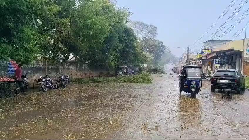 *बानसूर में शाम को तेज आंधी के साथ जोरदार बारिश हुई। अंधड़ से कई पेड़ धराशायी होकर सड़क पर गिर गए*