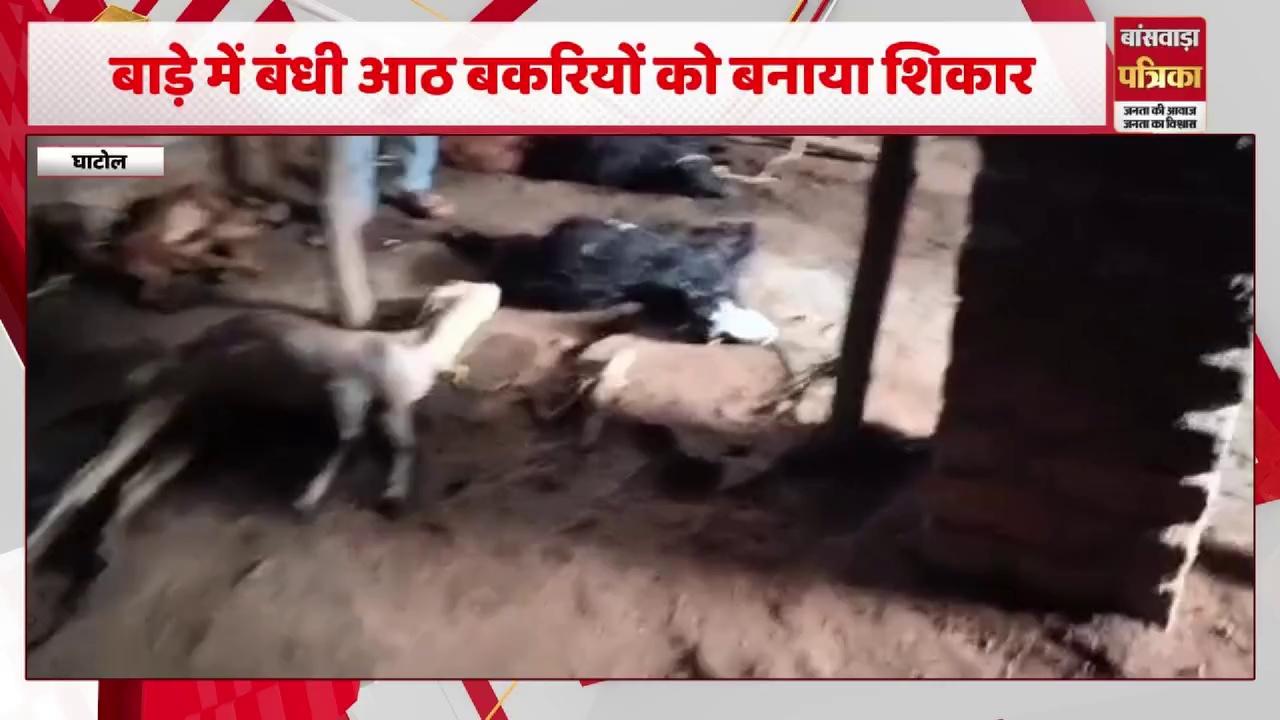 घाटोल क्षेत्र के चडला गांव में पैंथर का आतंक
.
.
.