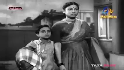 పెంకి పెళ్లాం(1956)
లేదుసుమా లేదుసుమా అపజయమన్నది లేదుసుమా...
గానం:-ఘంటసాల
రచన:-ఆరుద్ర
సంగీతం:-కె.ప్రసాదరావు