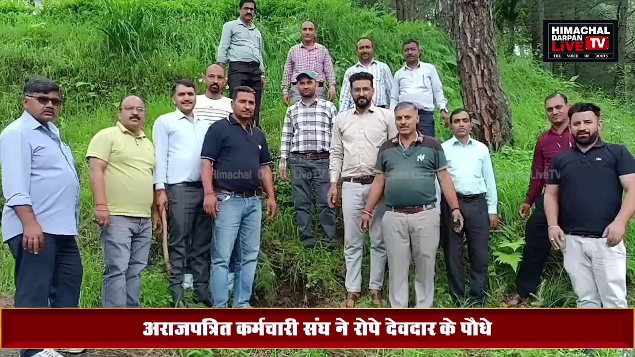 #rajgarh : अराजपत्रित कर्मचारी संघ इकाई राजगढ़ ने रोपे देवदार के पौधे