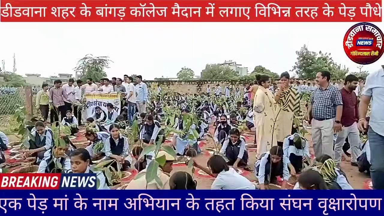 डीडवाना शहर के बांगड़ कॉलेज मैदान में लगाए विभिन्न तरह के पेड़ पौधेहरियाली तीज पर हरियालो राजस्थान अभियान का आगाज