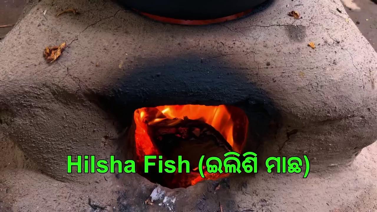 Having most expensive fish in Odisha
Hilsa fish curry in bengoli style
Sorho Elisi fish curry
Fish curry