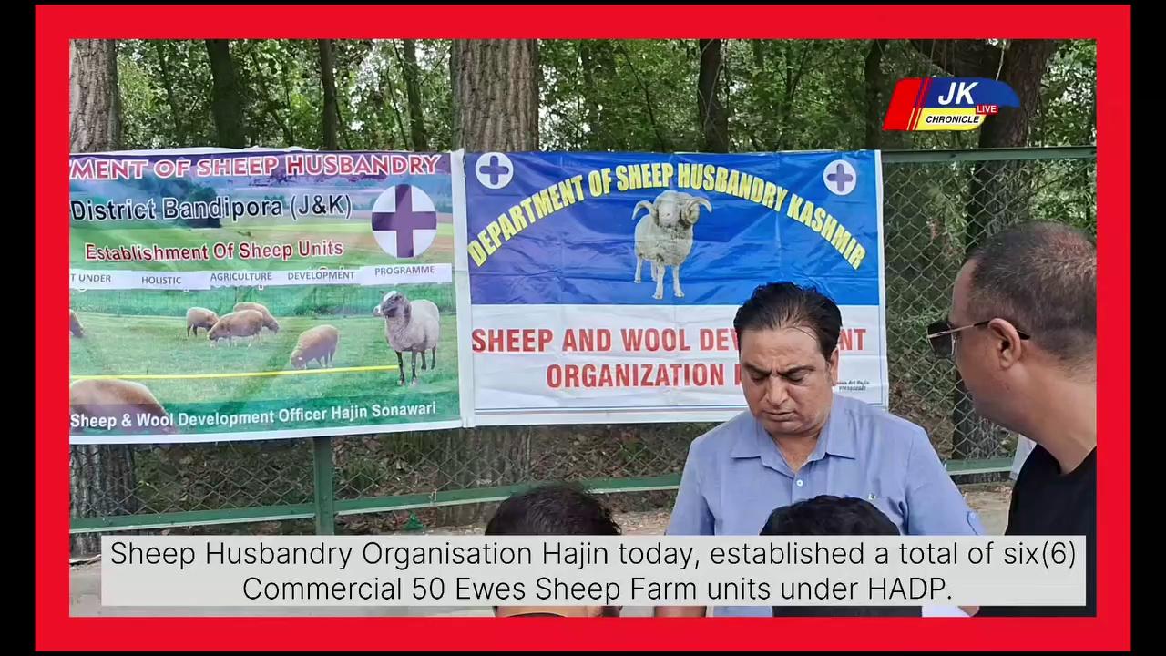 Sheep Husbandry Organisation Hajin today, established a total of six(6) Commercial 50 Ewes Sheep Farm units under HADP. The establishment of units was done by a team of officers led by Sheep Development Officer Dr. Umer Majeed. The beneficiaries expressed their gratitude towards the department for providing them the opportunity to establish an income generating unit.