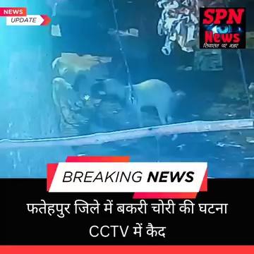 #फतेहपुर जिले के राधानगर क्षेत्र के अन्दौली में हाल ही में एक CCTV कैमरे में बकरी चोरी की वारदात कैद हो गई। इस घटना के बाद से स्थानीय ग्रामीण खासा परेशान हैं। ग्रामीणों का आरोप है कि क्षेत्र में बकरी चोरी की घटनाएं लगातार बढ़ रही हैं, और उन्होंने कई बार थाने में शिकायत दर्ज कराई है। बावजूद इसके, गश्ती में कमी के कारण इन घटनाओं में कोई कमी नहीं आई है।