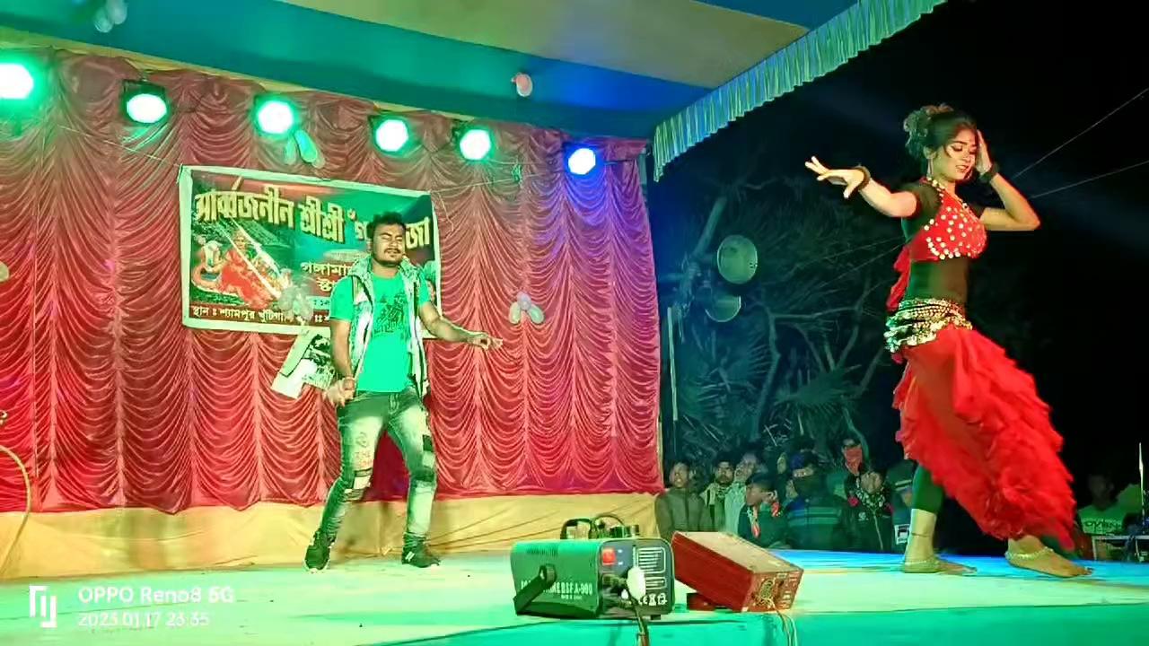 New night birds dance
SHYAMPUR