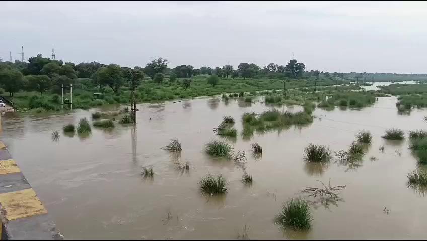 हिंडौन सिटी पांचना के तीन गेट खोलने से आज महू की गंभीर नदी में आया पानी रिपोर्ट अंशु गुप्ता