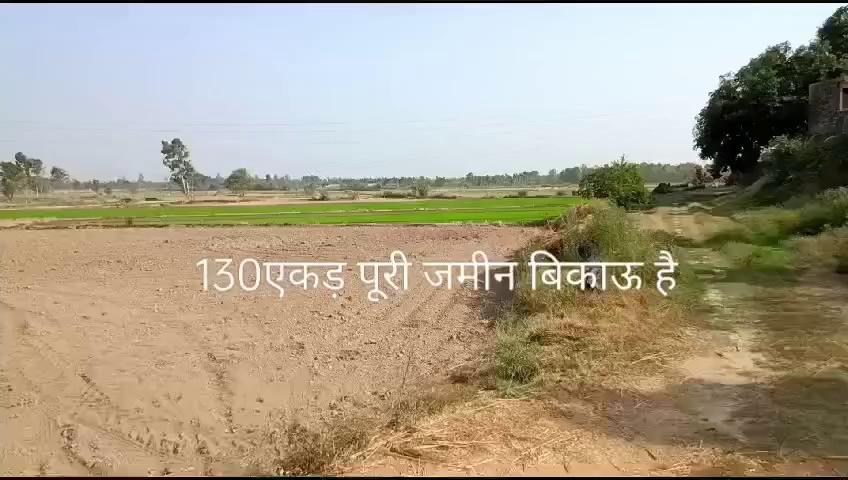 Land for sale in jaspur only 30 Land per acre