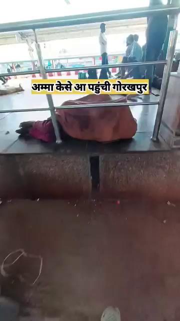 अम्मा केसे आ पहुंची गोरखपुर
90 साल की दादी मां का दुःख
#helpingpeople #Facebookvlog #Facebookvideo #vlog #video #helping #vlog #videoviral #vlogvideo #facebookpost #facebookviral #humanity #chotisiasha
अभिषेक राय