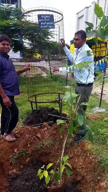 पर्यावरण प्रेमी ग्रीन आर्मी के सम्मानीय सदस्य आदरणीय श्री पप्पू जी माली भाई साहब आगर मालवा को जन्मदिन के अवसर पर हार्दिक शुभकामनायें बधाई उनके द्वारा आज जिला चिकित्सालय आगर मे त्रिवेणी के पौधे रोपित किये गए एवं वर्ष 2023 मे पौधों मे व्यवस्था हेतु 1100liter की टंकी का सहयोग किया गया था। आपका मार्गदर्शन मिलता रहे पेड़ पौधों का आशीर्वाद आप पर बना रहे शुभकामनायें। सर