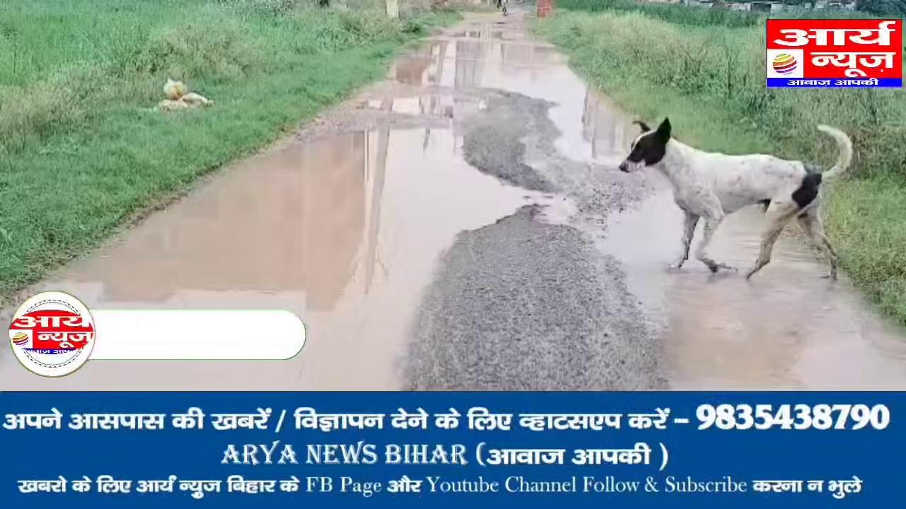 दानापुर के आशोपुर के जर्जर मुख्य सड़क मार्ग को लेकर भाजपा नेता भाई सनोज यादव ने की जल्द बनाने की मांग